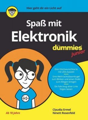 dummis_Spaß-mit-Elektronik